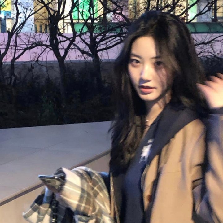 红色翅膀:火烈鸟故事